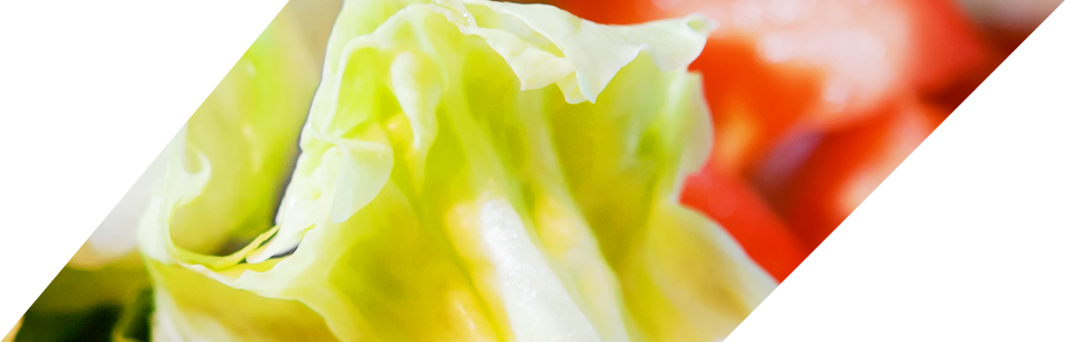 Food Handlers License Texas